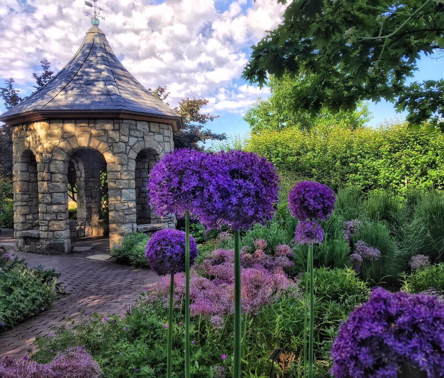 Garden view